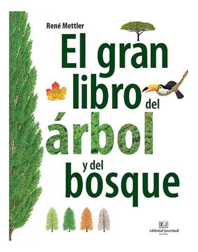 El Gran Libro Del Arbol Y Del Bosque