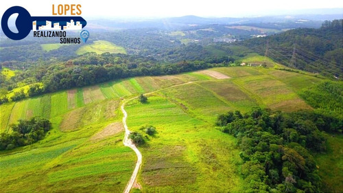 Imagem 5 de 26 de 17o Terrenos Bem Localizados