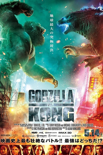 Godzilla Vs Kong Poster Original