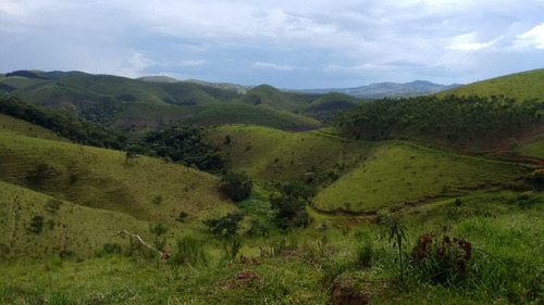 Imagem 5 de 14 de Fazenda Pecuaria Com Cachoeira Fundos Represa Igarata- 4180