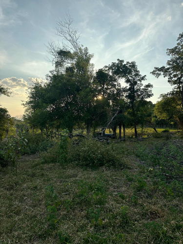 Terreno Con 369.33 Metros Cuadrados