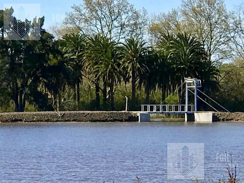 Imagen 7 de 30 de Lote Laguna Naudir