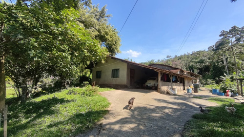 Imagem 15 de 19 de Linda Chacara No Bairro Santa Catarina Com 39.160 M² | Fácil Acesso A Br 101 - Sa01728 - 68879324