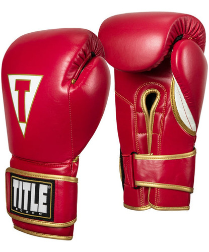 Guantes De Boxeo Title Mexican 100% Piel