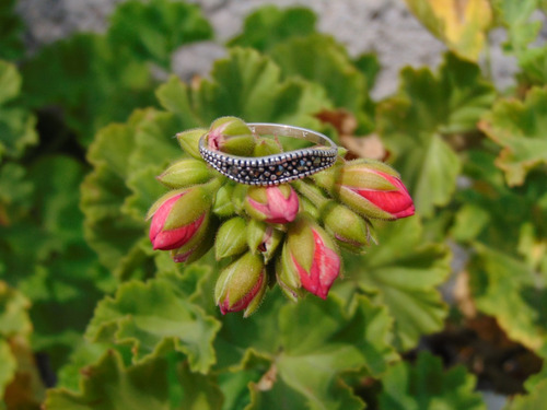 Anillo Para Dama Plata 925 Con Marquesita Varias Tallas