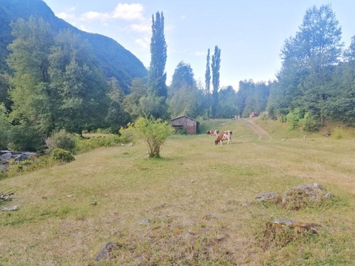 Pucon Hacia Carretera Intrnacional Comuna De Curarrehue