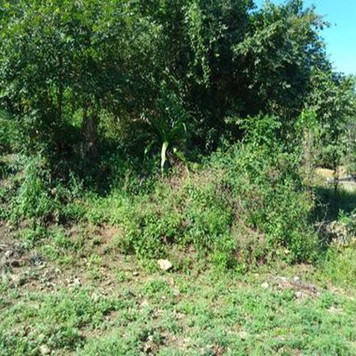 Terreno En Venta, Col. Desiré Huejutla