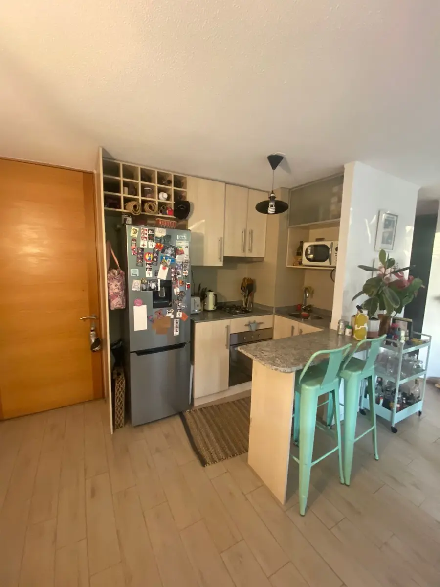 Imagen 3 de 19 de Vendo Lindo Depto 1d 1b 1 E 1b Piscina Bbbq Metro Ñuñoa