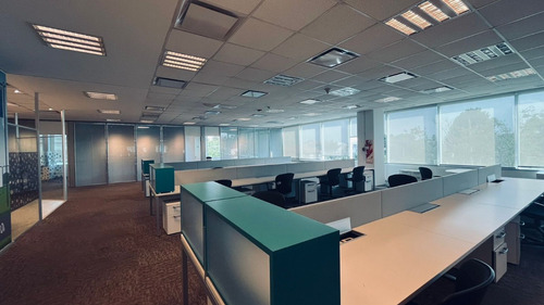 Alquiler De Oficinas | Lumina Thames | 953 M²