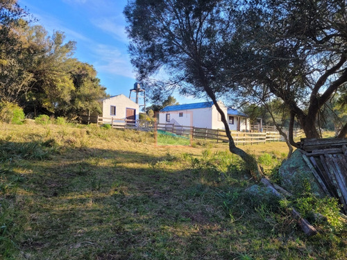 Imagen 11 de 20 de Chacra 14 Hás Con Casa Y Galpón Maldonado