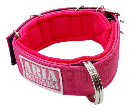 Collar Mascotas, Paseos, Personalizado