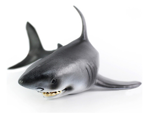 B. Megalodon-tiburón De Juguete Prehistórico Educación Oceán