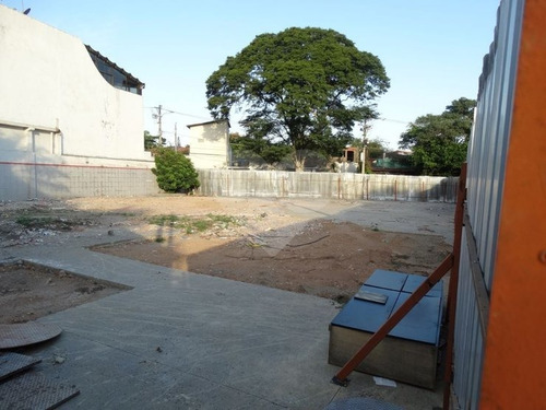 Terreno Alto De Pinheiros - 353-im317426