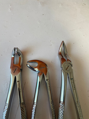 Fórceps Dentales Set De 6u Calidad Pacard Instruments Stgo.