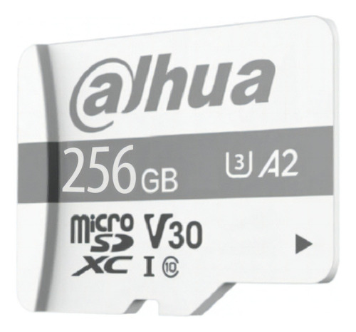 Dahua Tf-p100/256g Dahua Memoria Microsd 256gb Uhs-i C10 U3