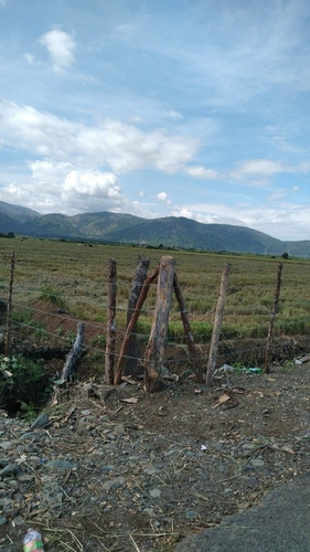 Te Vendo Excelente Finca De Arroz En Bonao