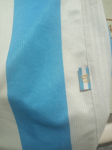 Camiseta De Futbol Seleccion Argentina 1998 Ver (Usado)