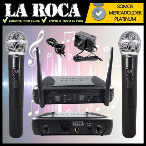 Imagen 6 de 10 de Microfono Inalambrico Uhf Doble De Mano Parquer Wr25d