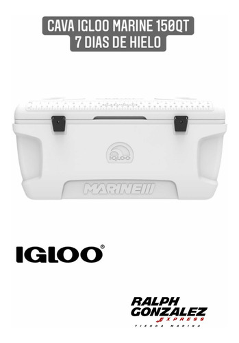 Cava Igloo 150qt