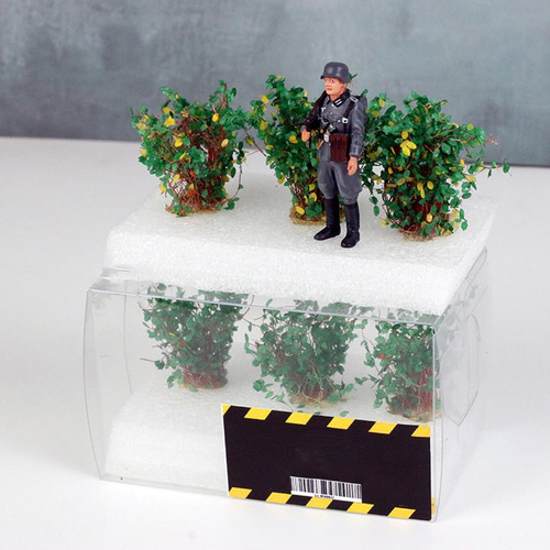 Planta En Miniatura Jardín De Hadas Macetero Amarillo Verde