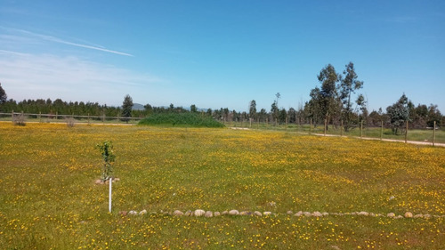 Parcela De 5000 Con Cabaña En La Estrella A 30 Minutos Rapel