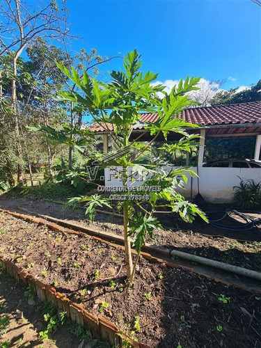Imagem 6 de 6 de Rural Com 22000 M² - Biritiba Ussu - Mogi Bertioga - Ref.: Vfr114 - Vfr114
