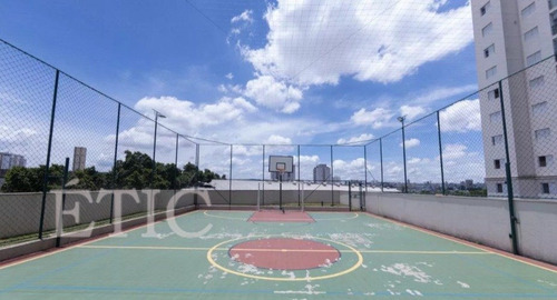 Imagem 12 de 15 de Apartamento - Belem - Ref: 4262 - V-ap2018