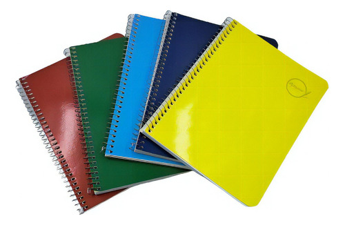 Cuaderno Libreta Forma Francesa Cuadro Grande Rayter 5pz100h Color Variable