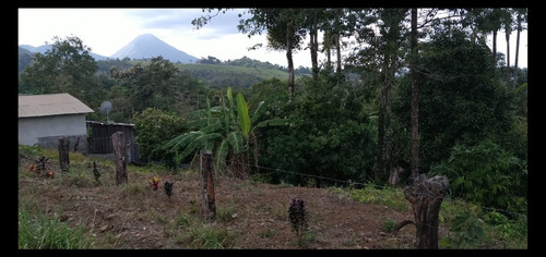 Imagen 11 de 12 de Finca 7000 M2, A 10 Minutos De La Fortuna De San Carlos, Vista Al Volcán Arenal