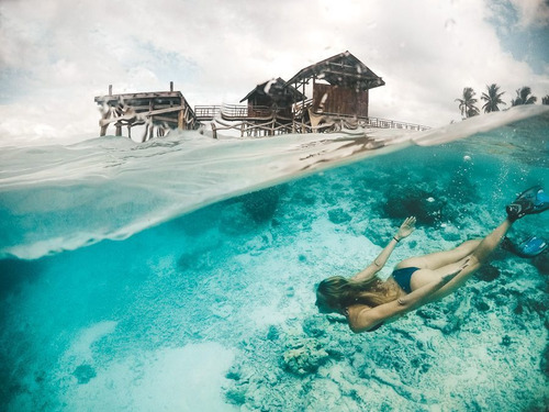Imagen 3 de 3 de Domo Telesin Para Gopro Hero 9