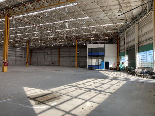 Imagen 14 de 27 de Depósito 6.000m2 - Rosario