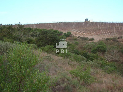 Chacra En Abra De Perdomo, Maldonado - Ref : Pbi2622