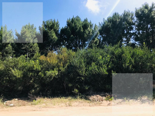 Imagen 2 de 30 de Lote En Venta Costa Esmeralda Deportiva