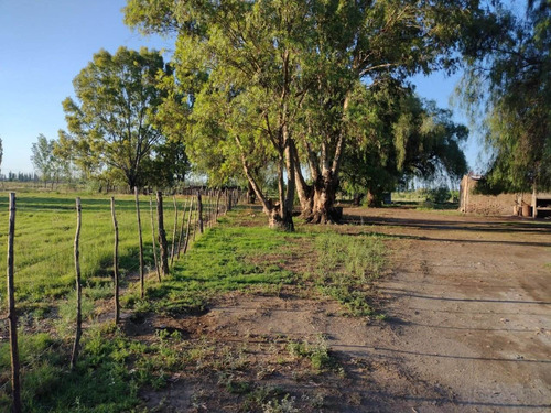 Imagen 7 de 13 de Vendo Finca San Rafael Goudge