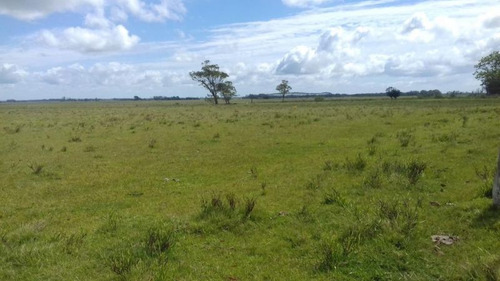 Campo En Venta En Rocha 20ha (ref: Atm-5568)