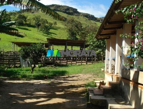 Imagem 3 de 15 de Fazenda - Zona Rural - Ref: 4818 - V-mta4818