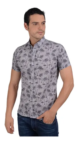 Camisas Palmeras Hombres MercadoLibre 📦