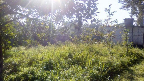 Imagem 19 de 25 de Imóvel No Balneário Gaivota, Em Itanhaém, Com Bom Espaço Para Plantio, Analisa Proposta À Vista Ref: 4442/ac