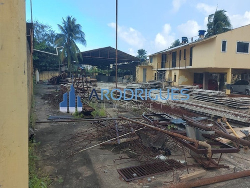 Imagem 10 de 16 de Terreno À Venda No Caji, Quintas Do Picuaia, Ótimo Para Minha Casa Minha Vida, Com10.000 Metros, Plano, Oportunidade - Te00139