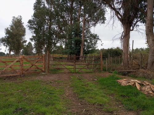 Vendo 3,56 Ha De Terreno, Especial Para Cultivo De Avellano,