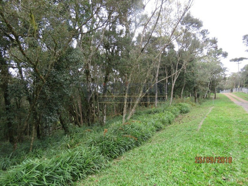 Imagem 2 de 15 de Chacara - Campina - Ref: 2046 - V-2046