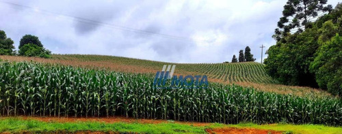 Chácara A Venda Colônia Marcelino São Jose Dos Pinhais Com 17.481,87 M2; Casa Alvenaria Com 270,00m2 - Ch0149
