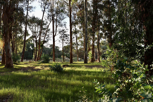 Terrenos En Reserva Montoya