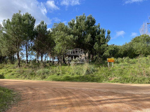 Terreno Ubicado En Barra Verde, La Barra, 1.395m2, Próximo Al Hotel Mantra