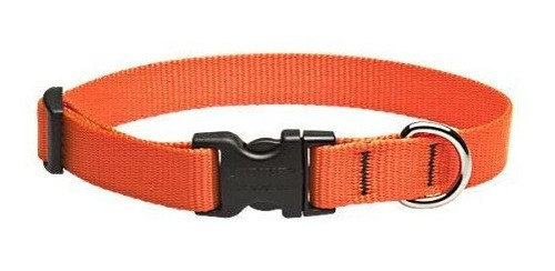 Lupinepet Basics Collar Ajustable De 3/4 Blaze Naranja 9-14