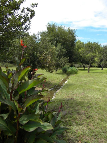 Campo Con Dos Casas , Ideal Emprendimiento Turístico.