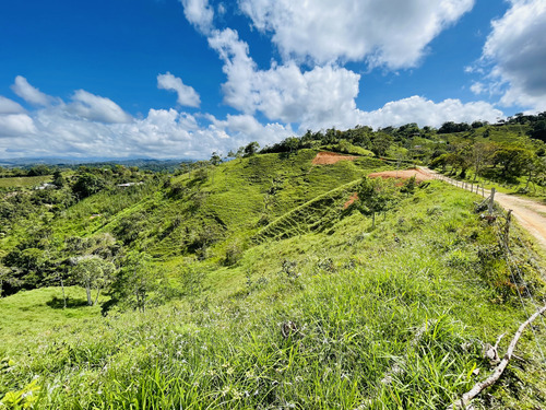 Terreno Barato En San Roque, Antioquia 