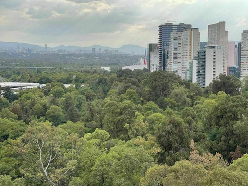 Imagen 4 de 12 de Excelente Departamento Con Vista Al Bosque De Chapultepec