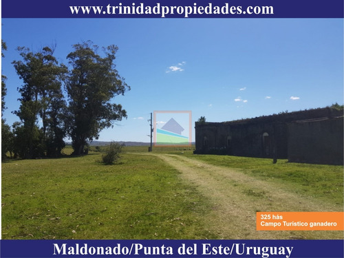 Imagen 8 de 14 de Campo Turístico Ganadero 325has