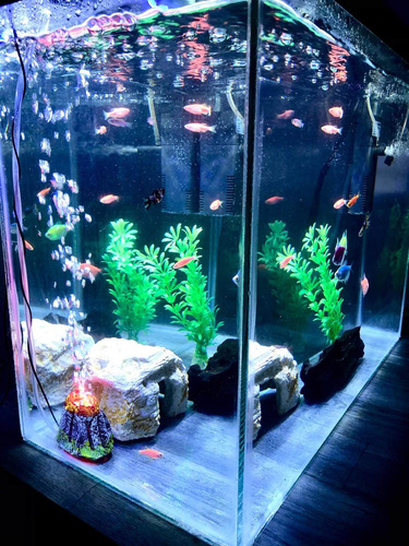 Hermoso Acuario (Usado)